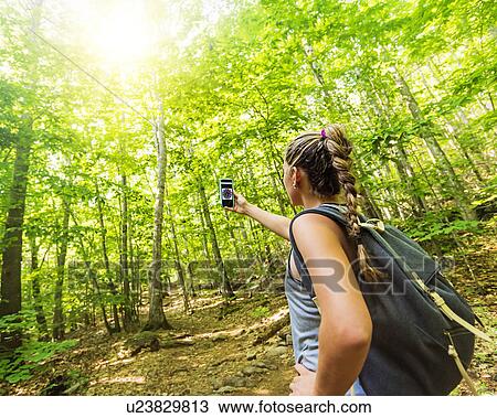 Female hiker looking at compass on phone View Large Photo Image Stock Image - Female hiker looking at compass on phone. Fotosearch