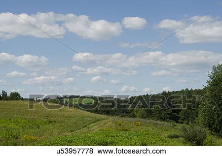 Green meadow View Large Photo Image Stock Photo - Green meadow. Fotosearch