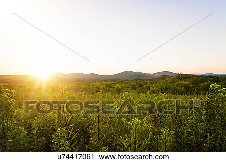 Green valley at sunset View Large Photo Image Stock Image - Green valley at sunset. Fotosearch