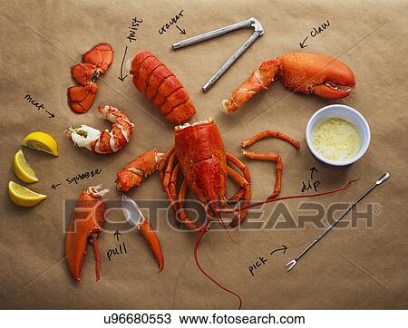 Stock Image - How to eat lobster instructions. Fotosearch