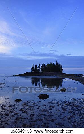Low tide at Owls Head at dawn View Large Photo Image Stock Image - Low tide at Owls Head at dawn. Fotosearch