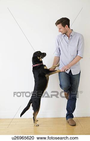 Man playing with dog View Large Photo Image Stock Image - Man playing with dog. Fotosearch