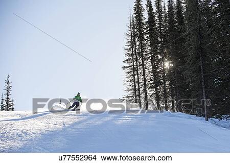 Picture - Man skiing downhill. Fotosearch