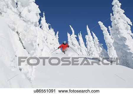 Mature woman skiing between trees covered with snow View Large Photo Image Stock Image - Mature woman skiing between trees covered with snow. Fotosearch