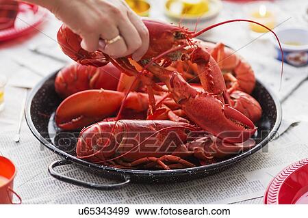 Stock Photo - Person taking lobster from plate. Fotosearch