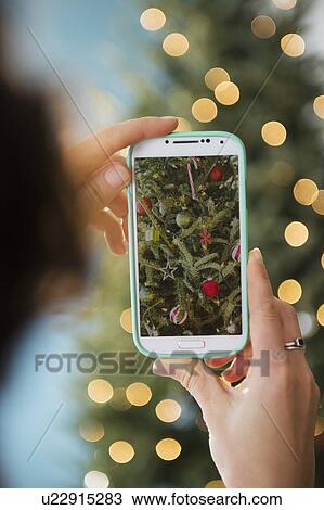 Stock Image - Personal perspective of person photographing Christmas tree. Fotosearch