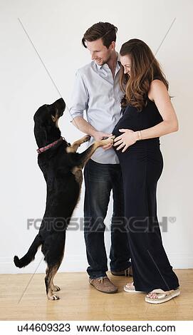 Portrait of couple with dog View Large Photo Image Stock Image - Portrait of couple with dog. Fotosearch
