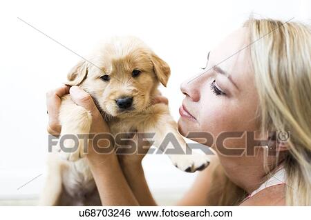 Stock Photograph - Portrait of Golden Retriever puppy with owner. Fotosearch