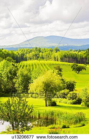 Scenic green landscape under cloudy sky View Large Photo Image Stock Photo - Scenic green landscape under cloudy sky. Fotosearch