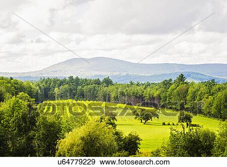 Scenic green landscape under cloudy sky View Large Photo Image Stock Photo - Scenic green landscape under cloudy sky. Fotosearch