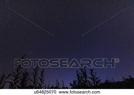Stock Image - Starry sky at night. Fotosearch