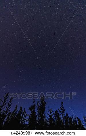 Stock Photo - Starry sky at night. Fotosearch