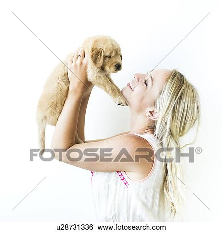Stock Photograph - Studio shot of Golden Retriever puppy with owner. Fotosearch