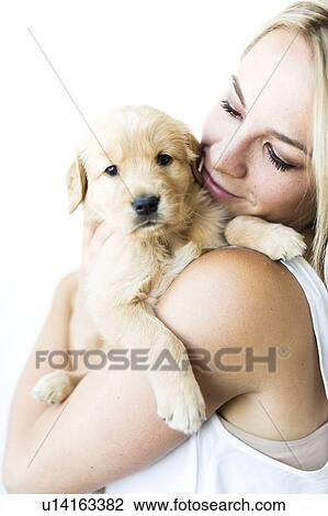 Studio shot of woman holding Golden Retriever puppy in arms View Large Photo Image Stock Image - Studio shot of woman holding Golden Retriever puppy in arms. Fotosearch