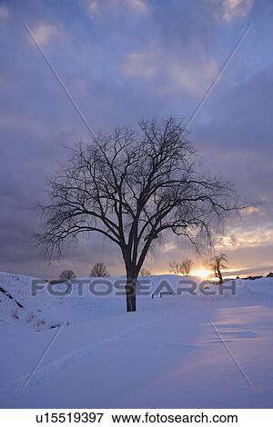 Stock Photo - Sunset on winter day on banks of Lake Champlain. Fotosearch