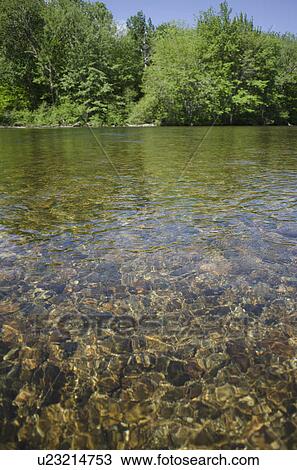 Stock Image - View of river and riverbank. Fotosearch