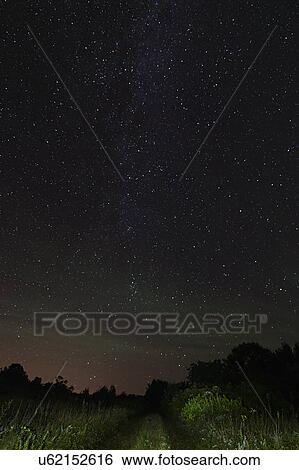 Stock Photograph - View of starry sky from dirt road at night. Fotosearch
