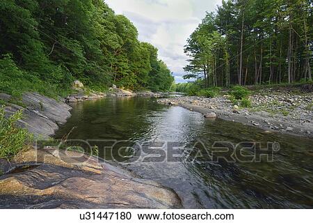 Stock Image - View of Williams River. Fotosearch