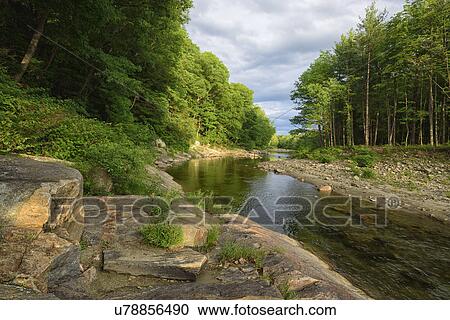 Stock Image - View of Williams River. Fotosearch