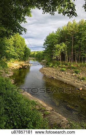 Stock Image - View of Williams River. Fotosearch