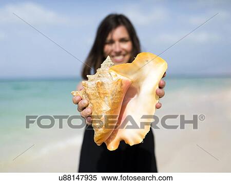Woman holding seashell on beach View Large Photo Image Stock Photography - Woman holding seashell on beach. Fotosearch