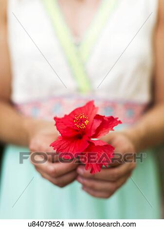 Picture - Woman holding tropical flower. Fotosearch
