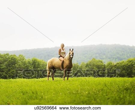 Woman horseback riding in countryside View Large Photo Image Picture - Woman horseback riding in countryside. Fotosearch