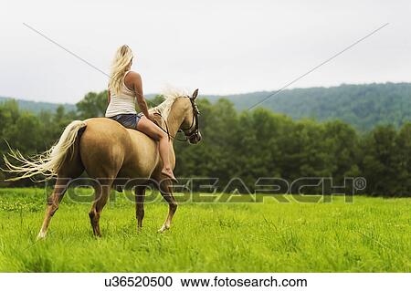 Woman horseback riding in countryside View Large Photo Image Stock Image - Woman horseback riding in countryside. Fotosearch