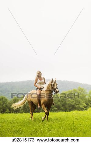 Woman horseback riding in countryside View Large Photo Image Stock Image - Woman horseback riding in countryside. Fotosearch