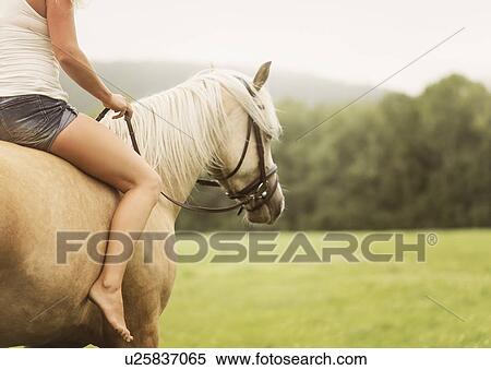 Woman horseback riding in countryside View Large Photo Image Stock Photography - Woman horseback riding in countryside. Fotosearch