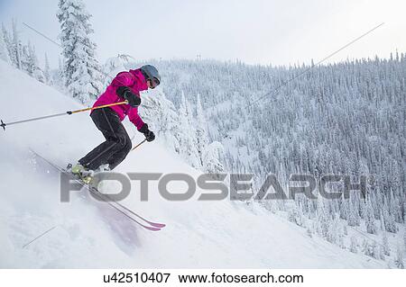 Woman skiing downhill View Large Photo Image Stock Photo - Woman skiing downhill. Fotosearch