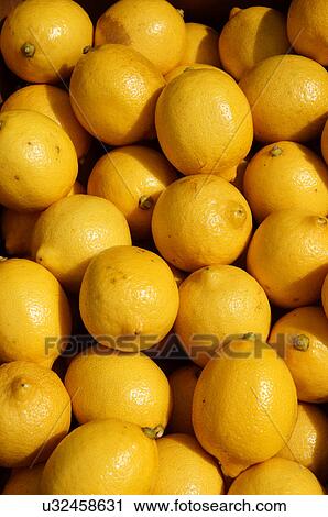 Stock Image -  albq balloon fiesta closeup lemons fruit lemon. Fotosearch