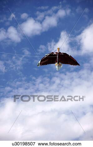 albq balloon fiesta eagle kite blue sky clouds View Large Photo Image Stock Photo - albq balloon fiesta eagle kite blue sky clouds. Fotosearch