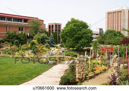 allen centennial garden gardens botanical plants View Large Photo Image Stock Image - allen centennial garden gardens botanical plants. Fotosearch