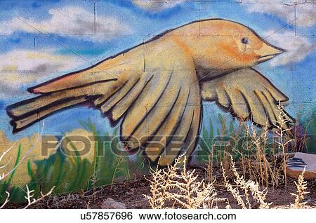 bird flying art mural graphic alto walking park View Large Photo Image Stock Photograph - bird flying art mural graphic alto walking park. Fotosearch
