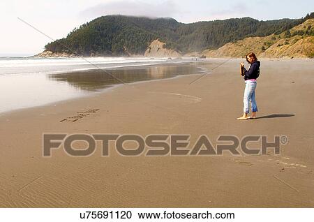 Stock Image -  bodega bay beach hiway one 101 highway ca 1. Fotosearch