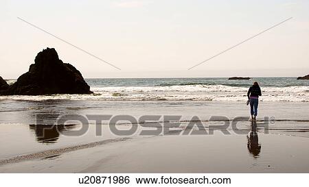Stock Photograph -  bodega bay beach hiway one 101 highway ca 1. Fotosearch