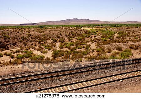 Stock Photo -  bosque del apache national wildlife preserve nm. Fotosearch