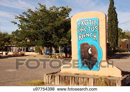 Stock Photo -  buffalo bills exotic cactus ranch desert sw new. Fotosearch