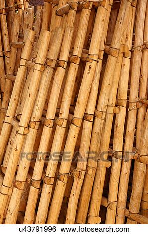 Stock Photograph -  closeup bamboo poles display publicize acquaint. Fotosearch