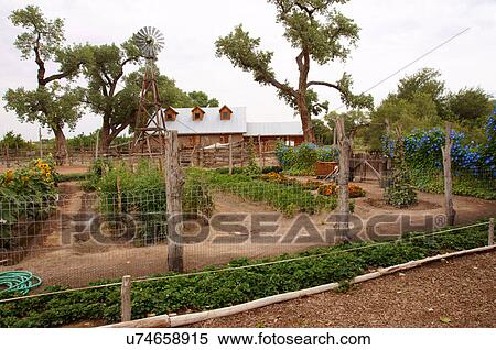 crops at heritage farm botanical garden gardens View Large Photo Image Stock Photography - crops at heritage farm botanical garden gardens. Fotosearch