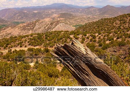 deadwood sangre de cristo mountains dixon new nm View Large Photo Image Stock Photo - deadwood sangre de cristo mountains dixon new nm. Fotosearch