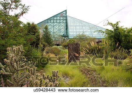 Stock Image -  dessert garden enclosure botanical gardens alb. Fotosearch