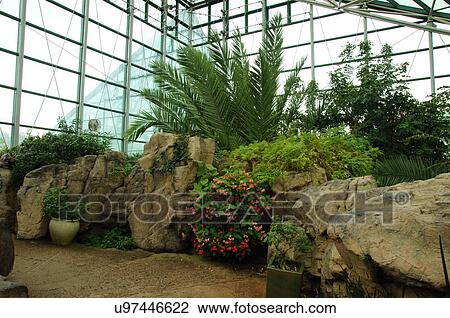 dessert garden enclosure botanical gardens alb View Large Photo Image Stock Image - dessert garden enclosure botanical gardens alb. Fotosearch