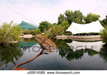 Stock Photo -  dragonfly sanctuary pond botanical garden park. Fotosearch