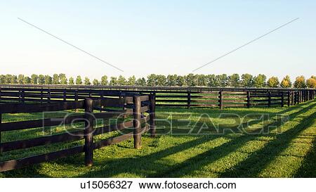 fences shadows light ranch horses pharma idaho View Large Photo Image Stock Photo - fences shadows light ranch horses pharma idaho. Fotosearch