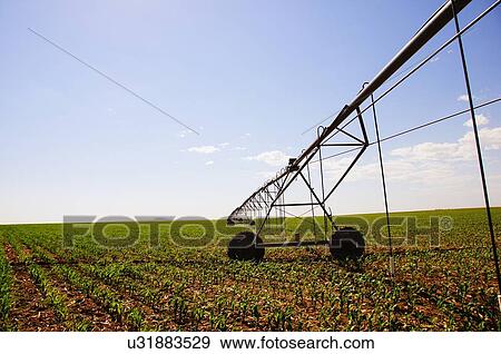 irrigation called central pivot circle method in View Large Photo Image Stock Photo - irrigation called central pivot circle method in. Fotosearch
