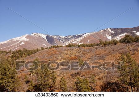 junta burn area questa nm new mexico snow winter View Large Photo Image Stock Image - junta burn area questa nm new mexico snow winter. Fotosearch