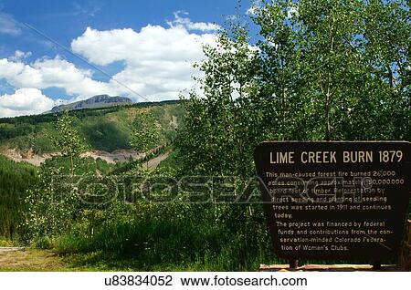 lime creek burn area mile marker 59 hwy 550 View Large Photo Image Stock Image - lime creek burn area mile marker 59 hwy 550. Fotosearch