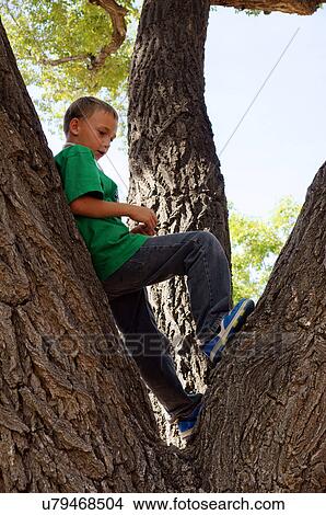 Picture -  lonely boy in tree male kid alone shyness. Fotosearch